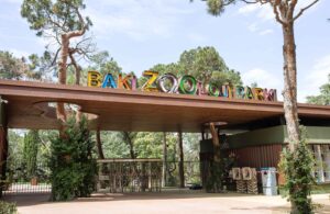 حديقة حيوانات باكو