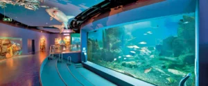 Istanbul Aquarium