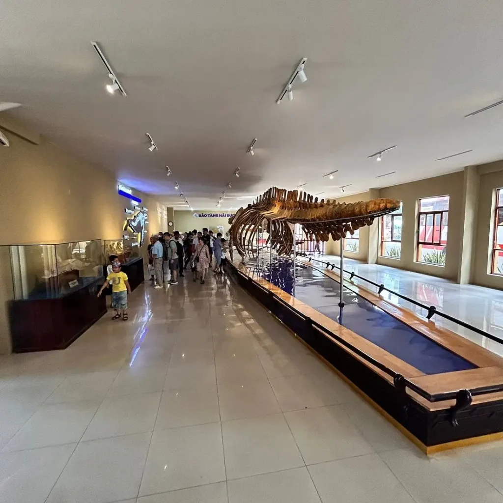 Nha Trang Oceanography Museum  