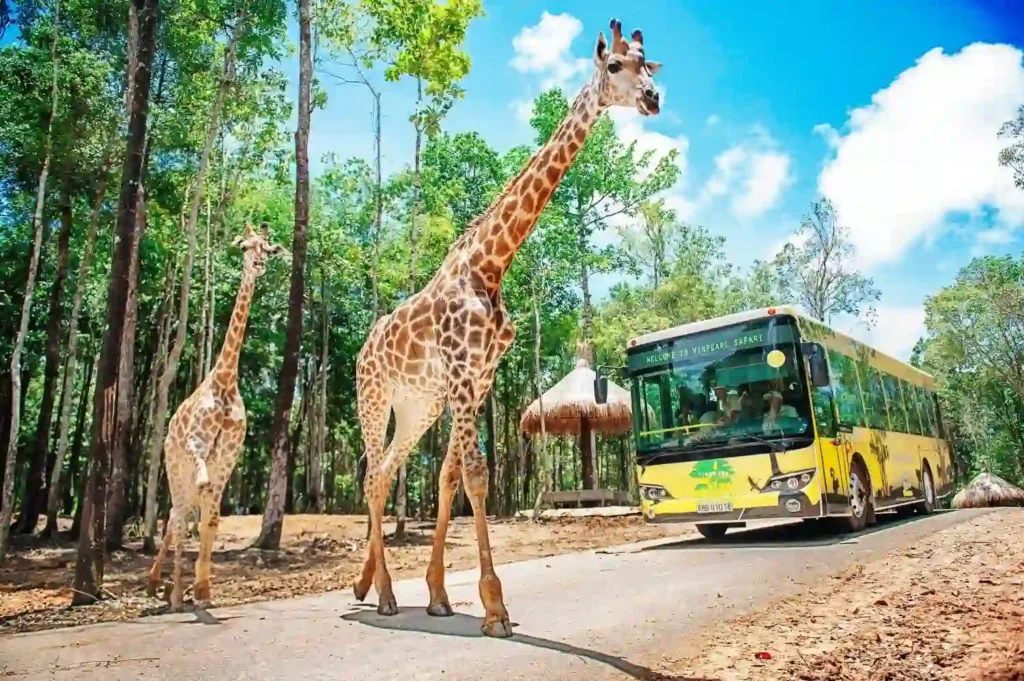Vinpearl Safari Phu Quoc