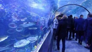 أكواريوم طرابزون