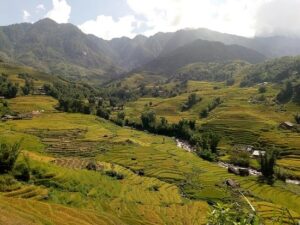 قرية لاو تشاي