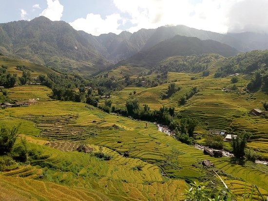 قرية لاو تشاي