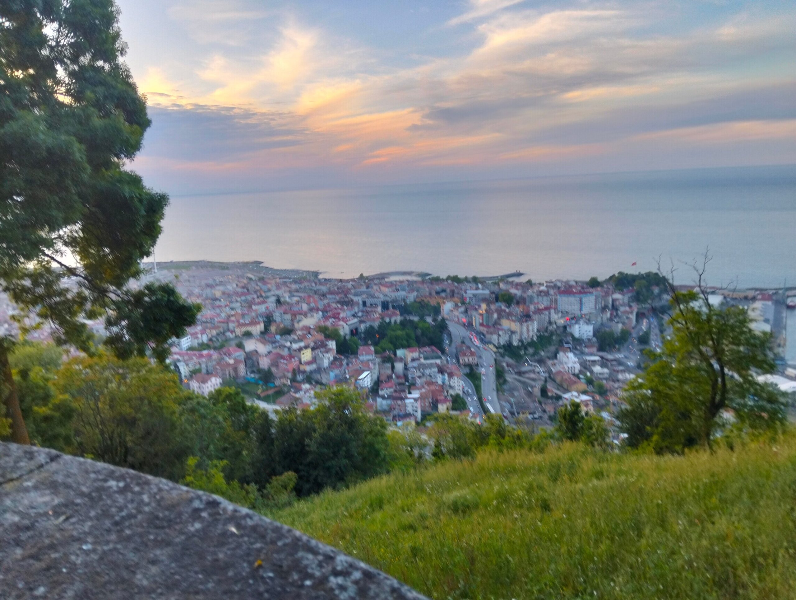 حديقة شاي بوزتبه