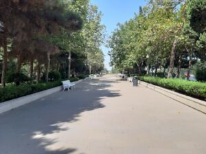 حديقة ظريفة علييف