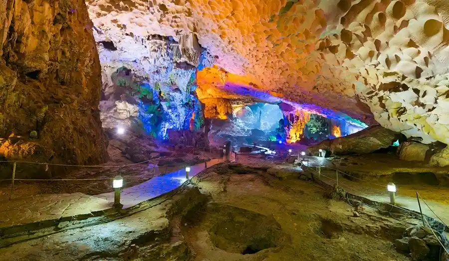 كهف ثين كونغ (Thien Cung Cave) كهف ثين كونغ (Thien Cung Cave)
