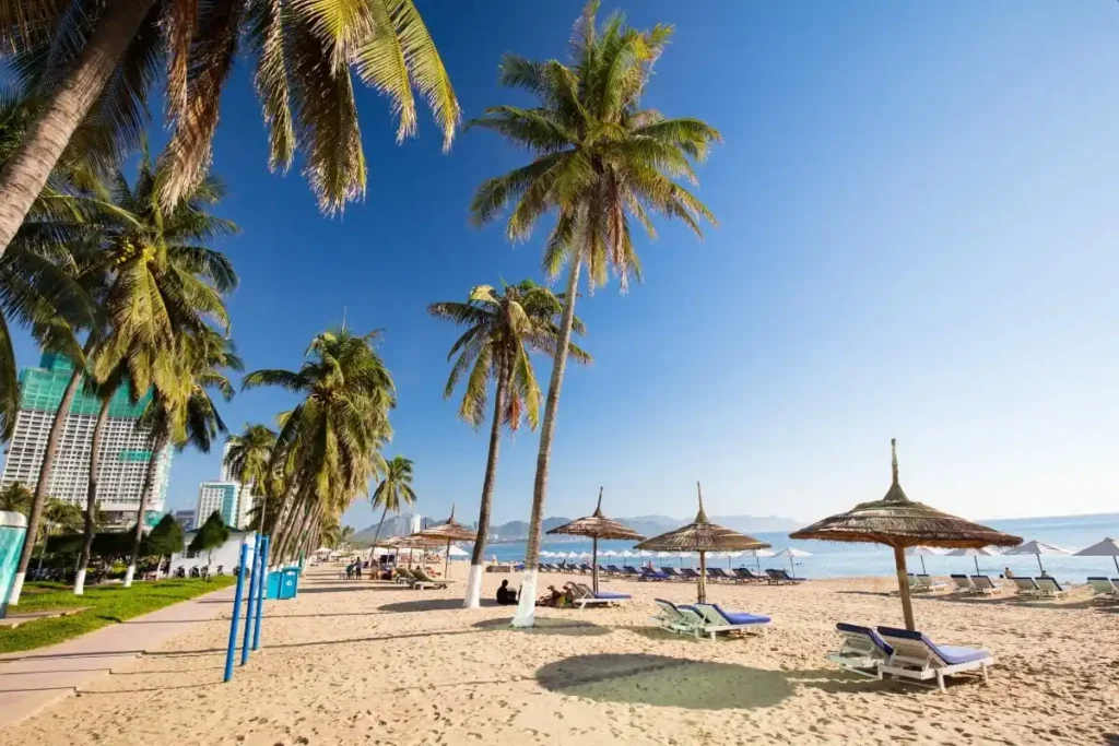 منطقة باي داي (Bai Dai Beach)