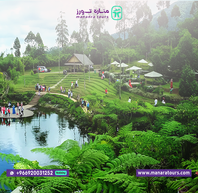 بكج سياحي فاخر الى اندونيسيا ​