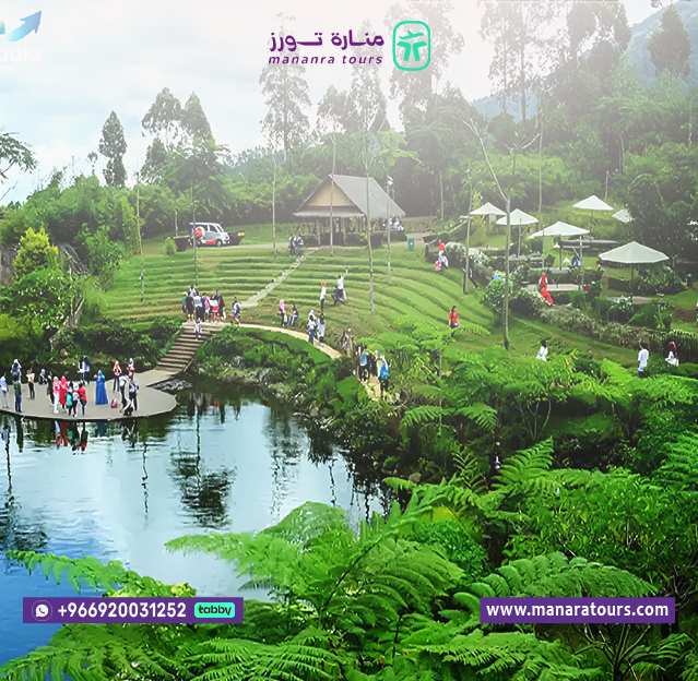 عروض السياحة في اندونيسيا للعوائل​