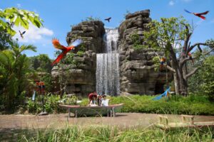 بيرد بارادايس سنغافورة