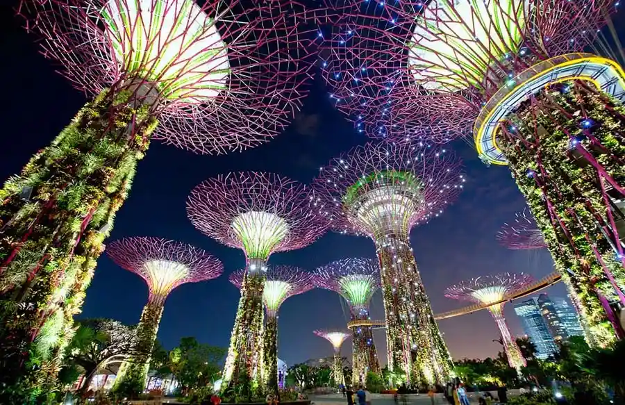 حدائق الخليج Gardens by the Bay حدائق الخليج Gardens by the Bay