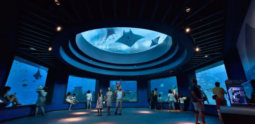سنغافورة اوشناريوم – Singapore Oceanarium