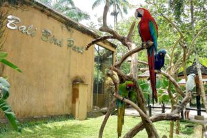 حديقة طيور بالي