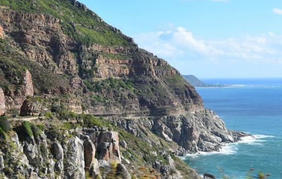 تشابمان بيك بير