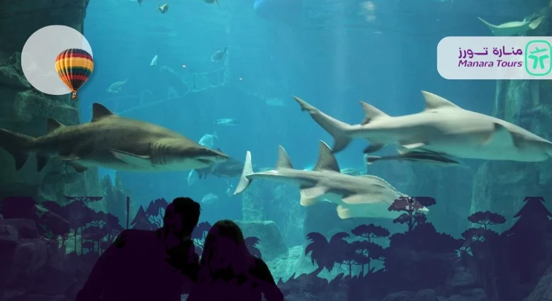 أكواريوم اسطنبول