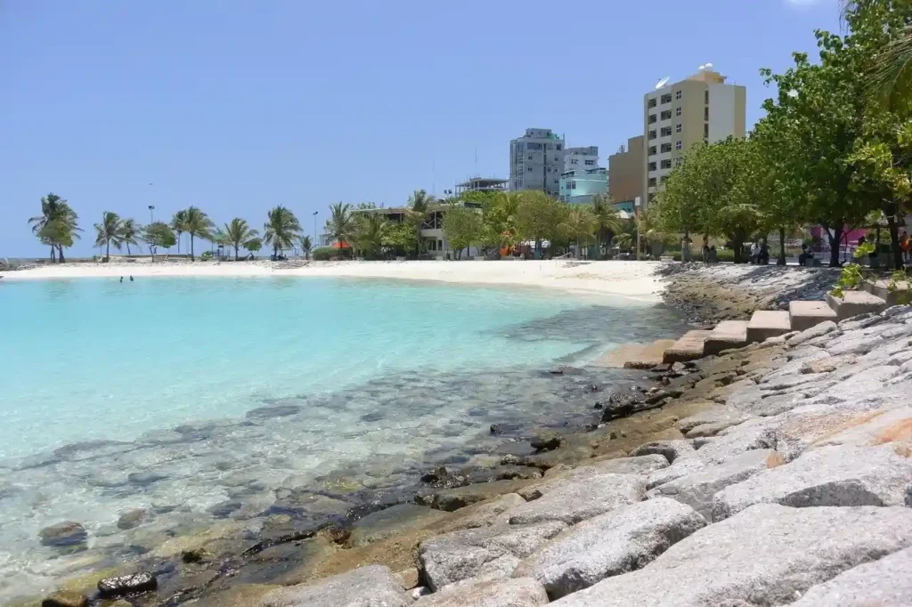 الشاطئ الاصطناعي (Artificial Beach)