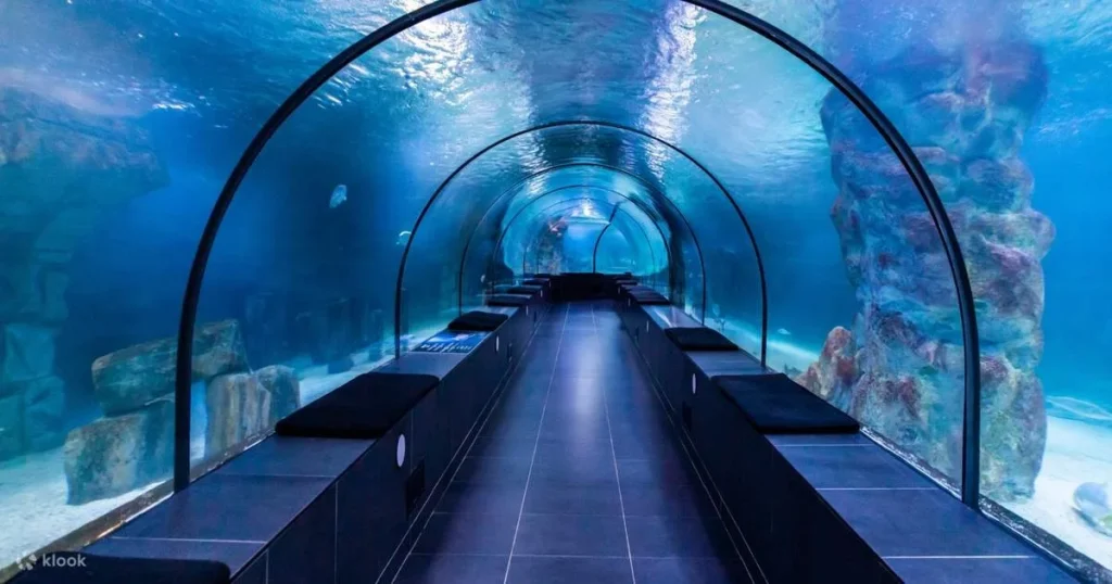 إسطنبول أكواريوم Istanbul Aquarium