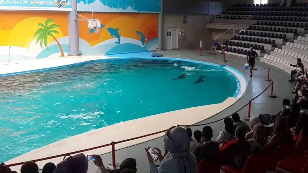 اسطنبول دولفيناريوم Istanbul Dolphinarium