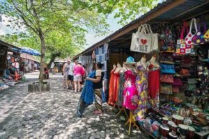 Chaandhanee Magu Male