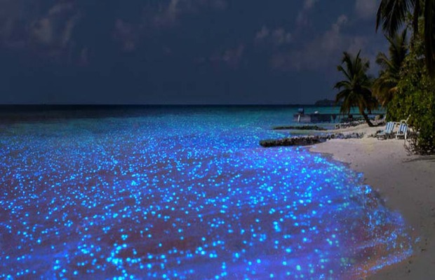 جزيرة فادهو