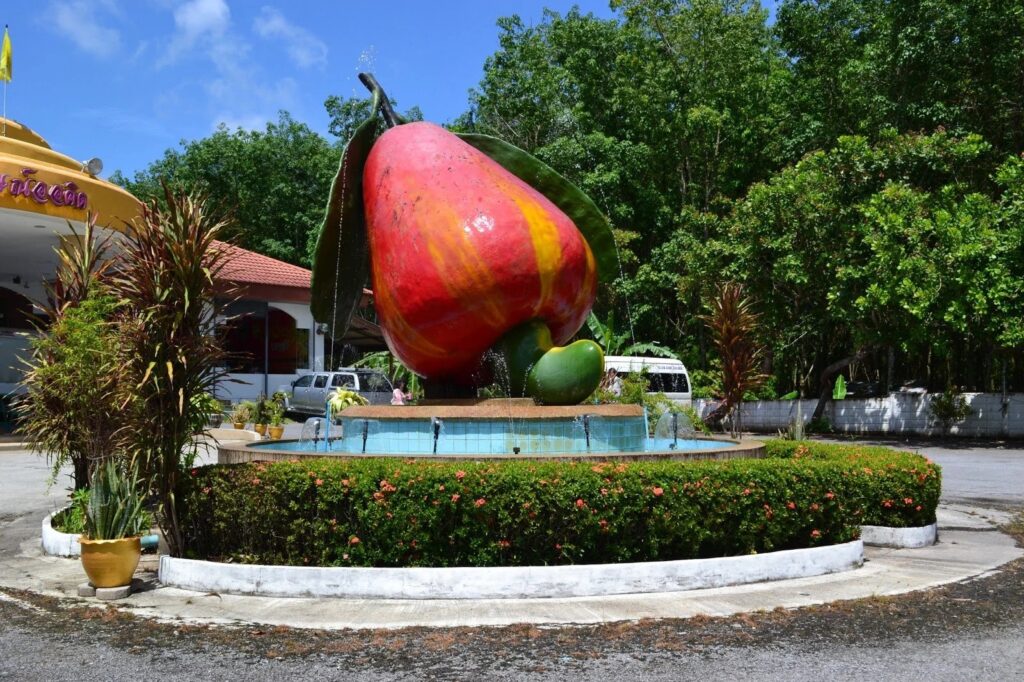 مصنع الكاجو بوكيت