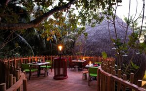 مطعم نيست جزر نياما المالديف