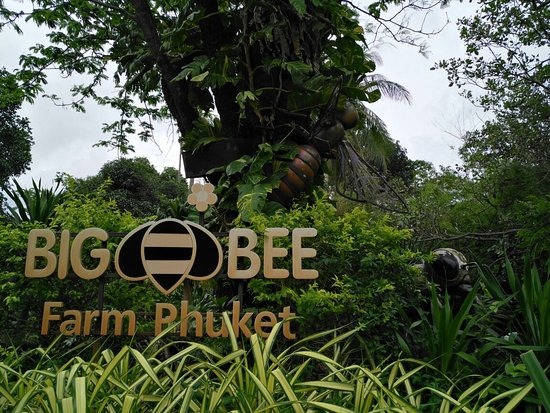 مزرعة بيج بي للنحل بوكيت