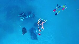 خليج هانيفارو في المالديف