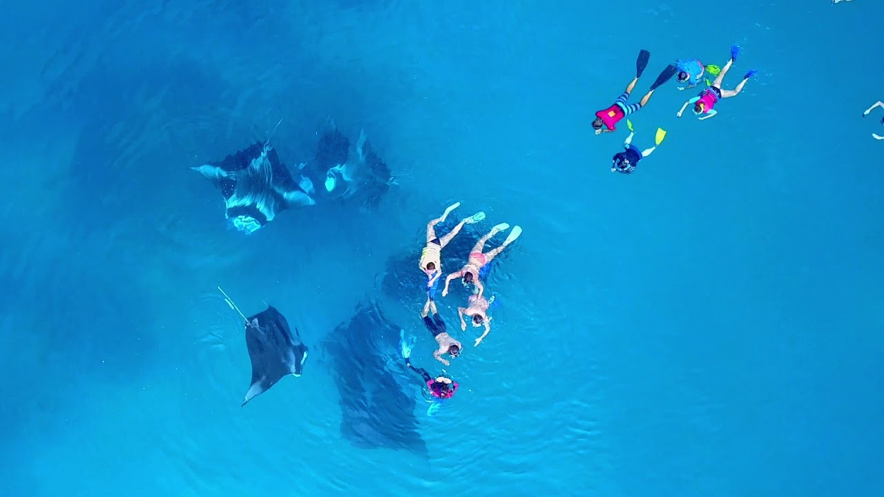 خليج هانيفارو في المالديف