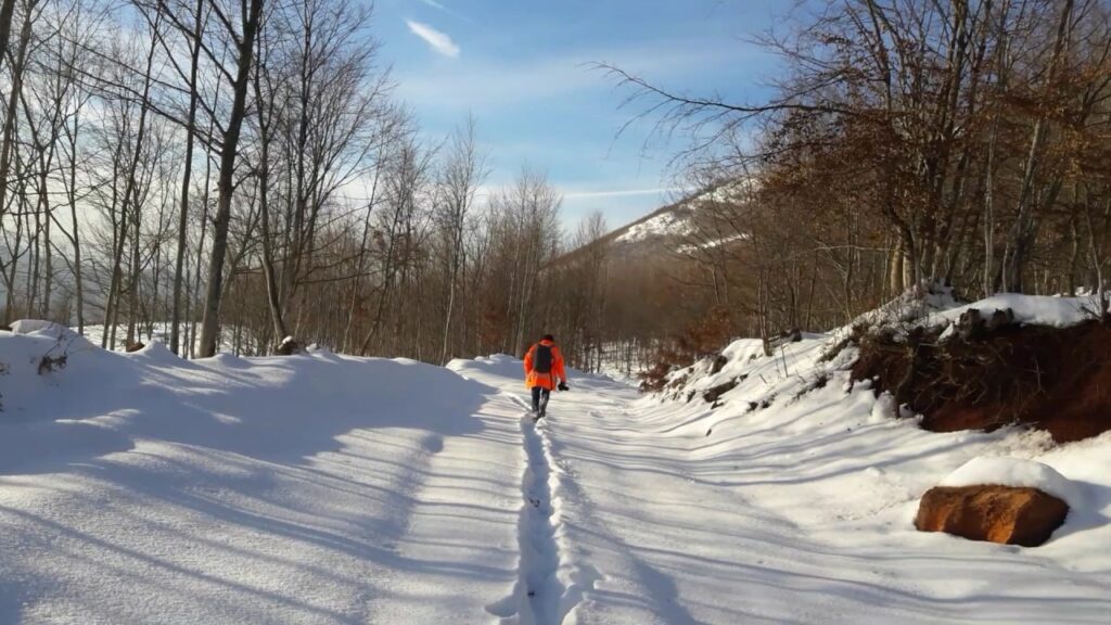 كارتبه Kartepe