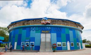 حديقة الدلافين بوكيت