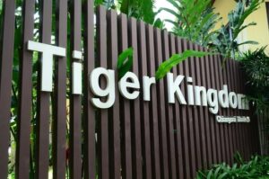 مملكة النمور بوكيت