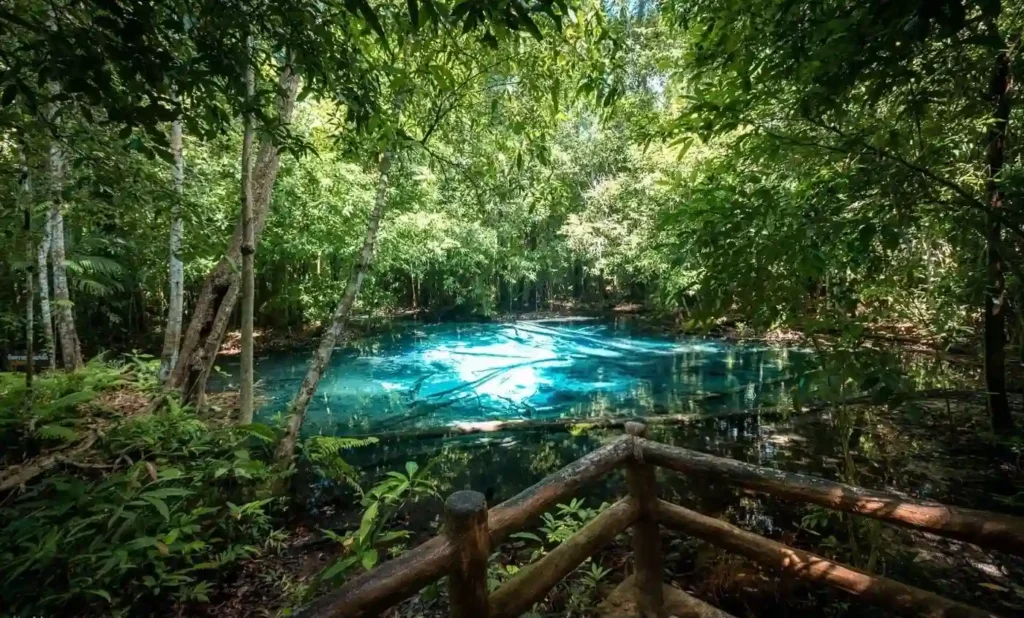 البحيرة الزمردية (Emerald Pool) البحيرة الزمردية (Emerald Pool)
