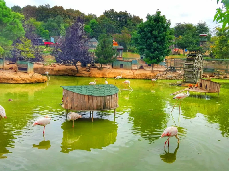 بولونيزكوي Polonezköy