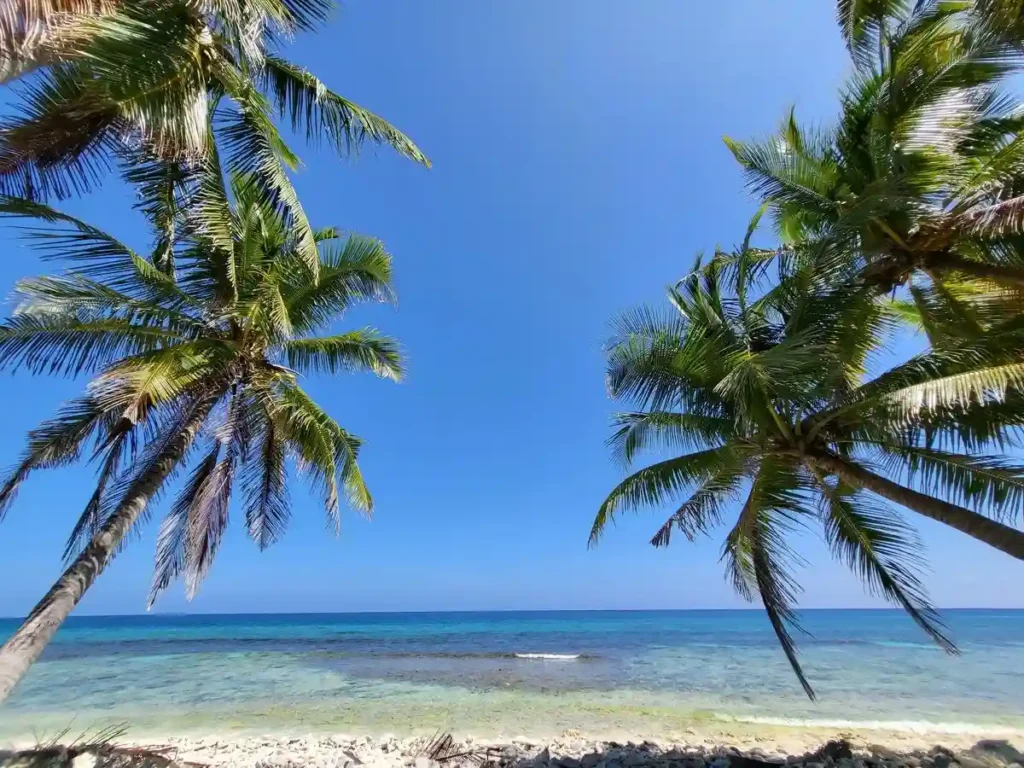 حديقة أدو الطبيعية (Addu Nature Park) حديقة أدو الطبيعية (Addu Nature Park)