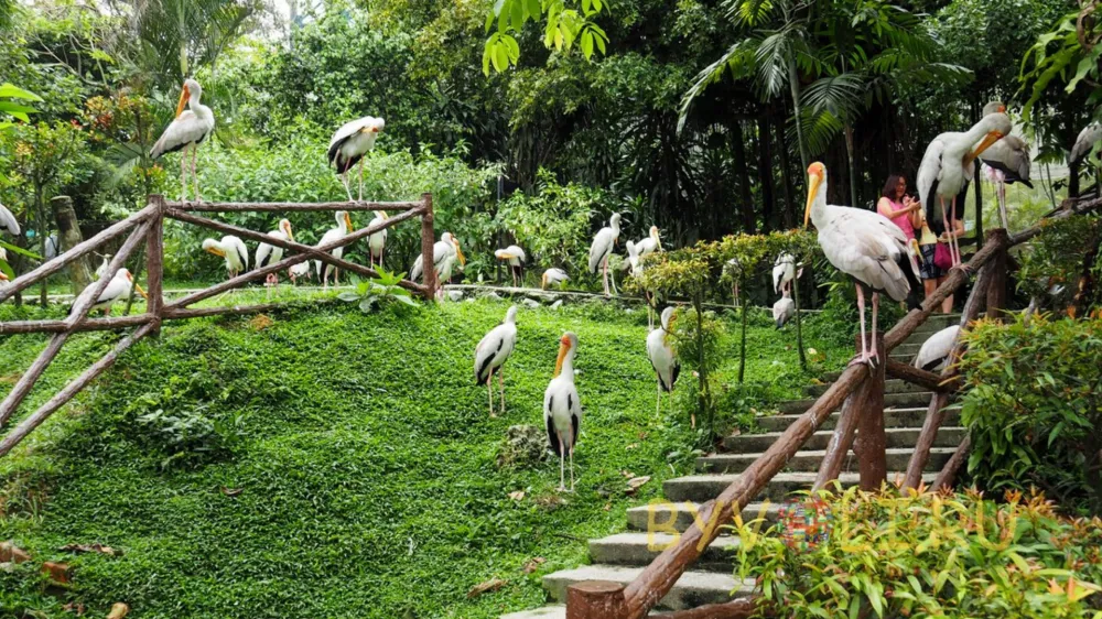 حديقة طيور كوالالمبور (Kuala Lumpur Bird Park)