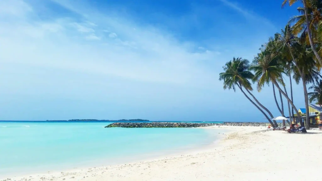 شاطئ البيكيني (Bikini Beach)