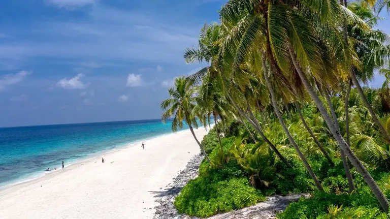 شاطئ ثوندي (Thoondu Beach) شاطئ ثوندي (Thoondu Beach)