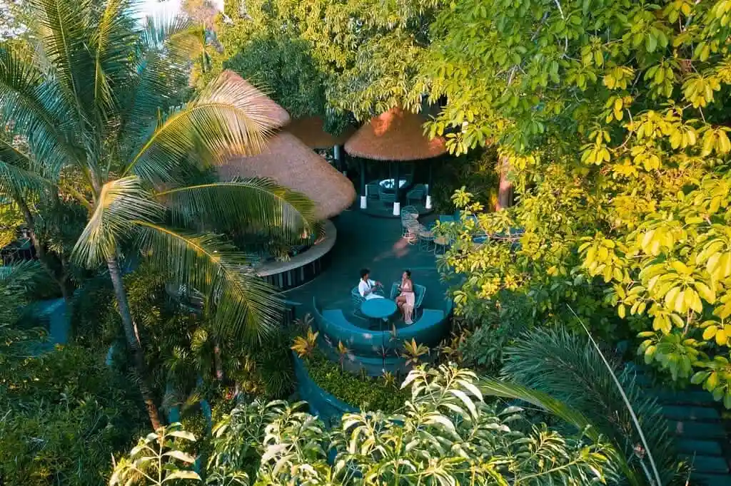 مطعم تري توبس Tree Tops Sky Dining مطعم تري توبس Tree Tops Sky Dining