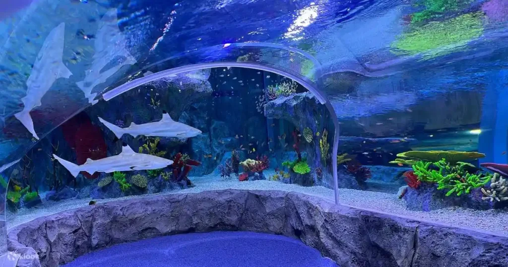 معهد علوم البحار Bangsaen Aquarium