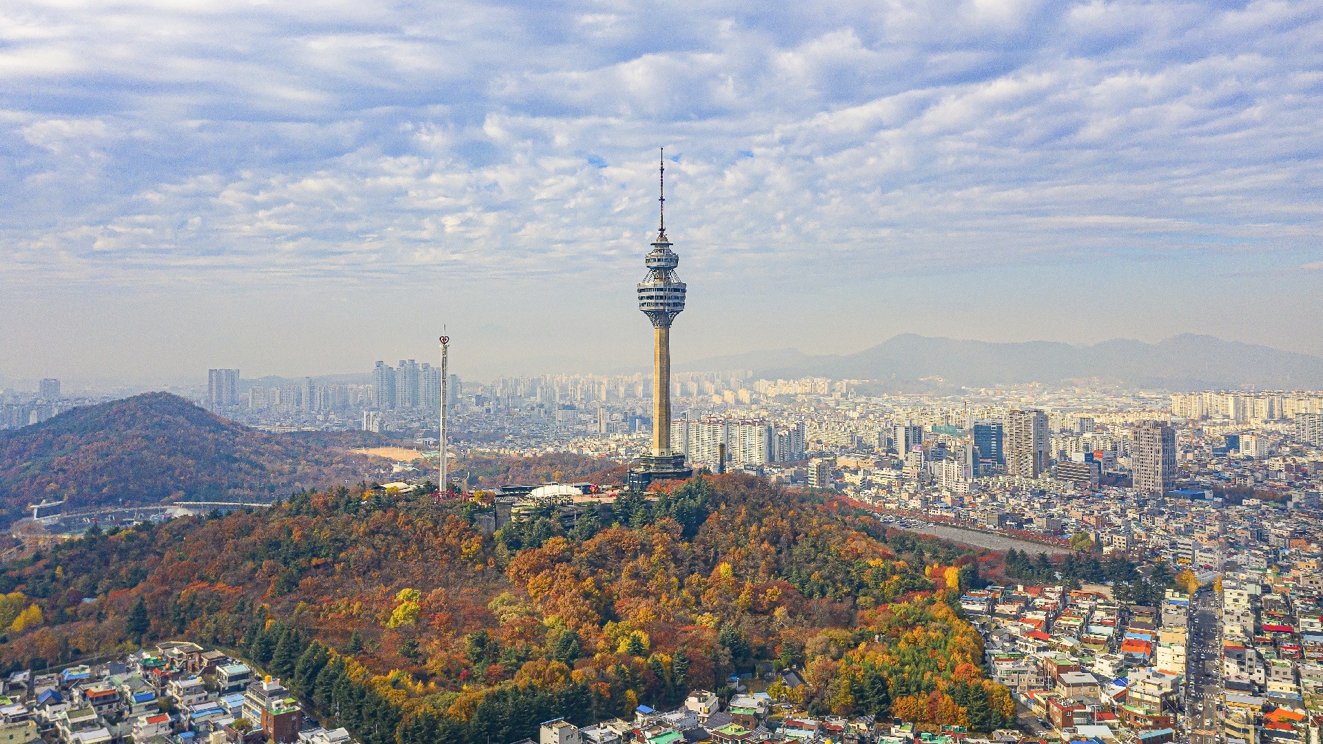 مدينة دايجو daegu