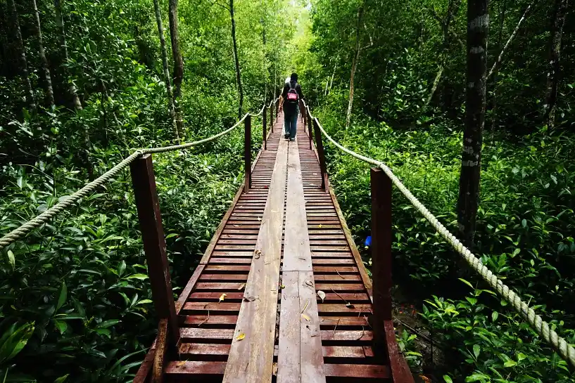 حديقة كوالا سيلانجور للطبيعة (Kuala Selangor Nature Park)