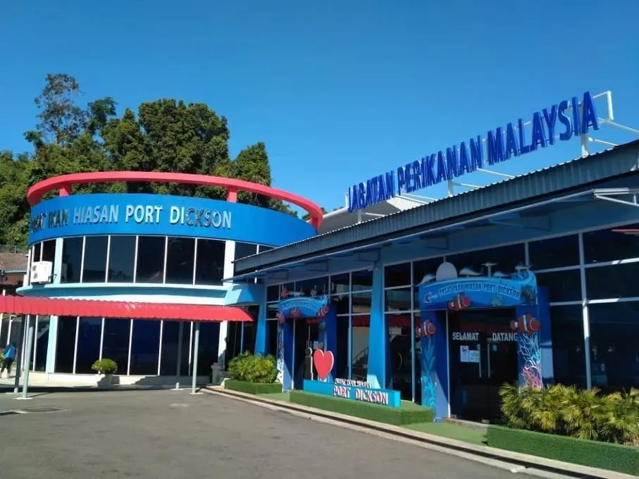 معرض الأحياء المائية (Port Dickson Ornamental Fish Centre) معرض الأحياء المائية (Port Dickson Ornamental Fish Centre)