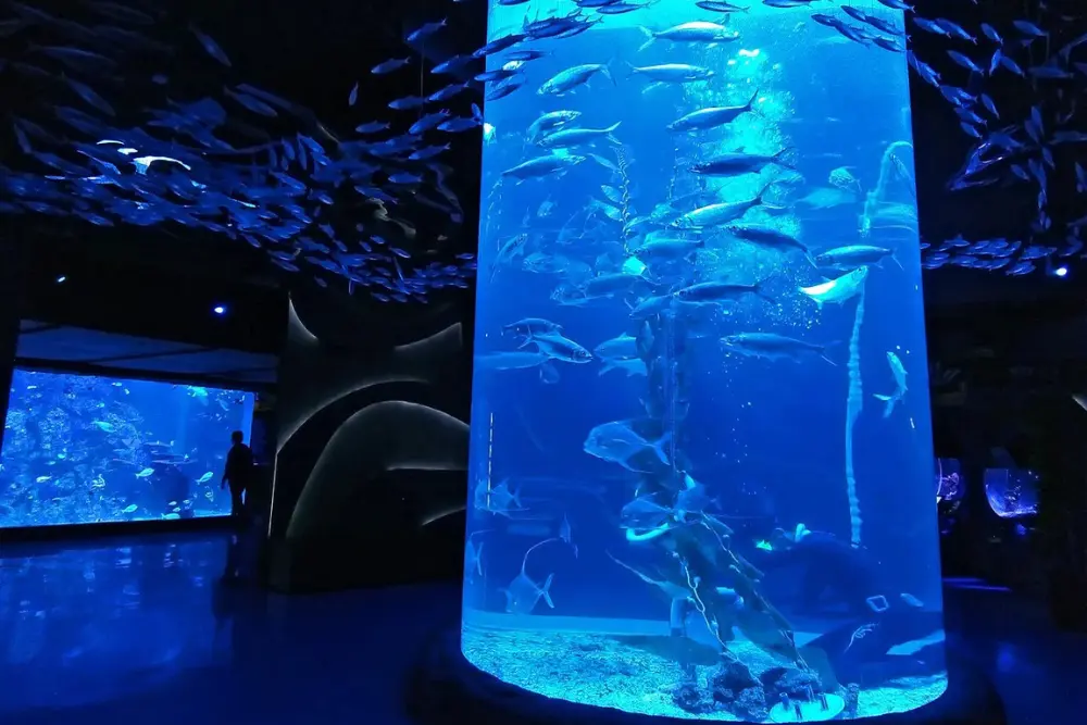 Jakarta Aquarium & Safari_