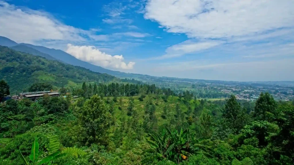 Puncak