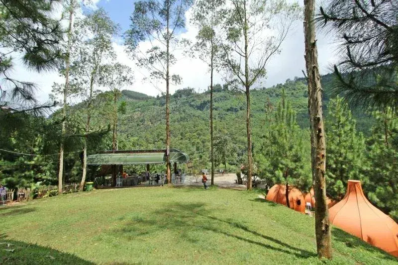 ذا لودج ماريبايا (The Lodge Maribaya)