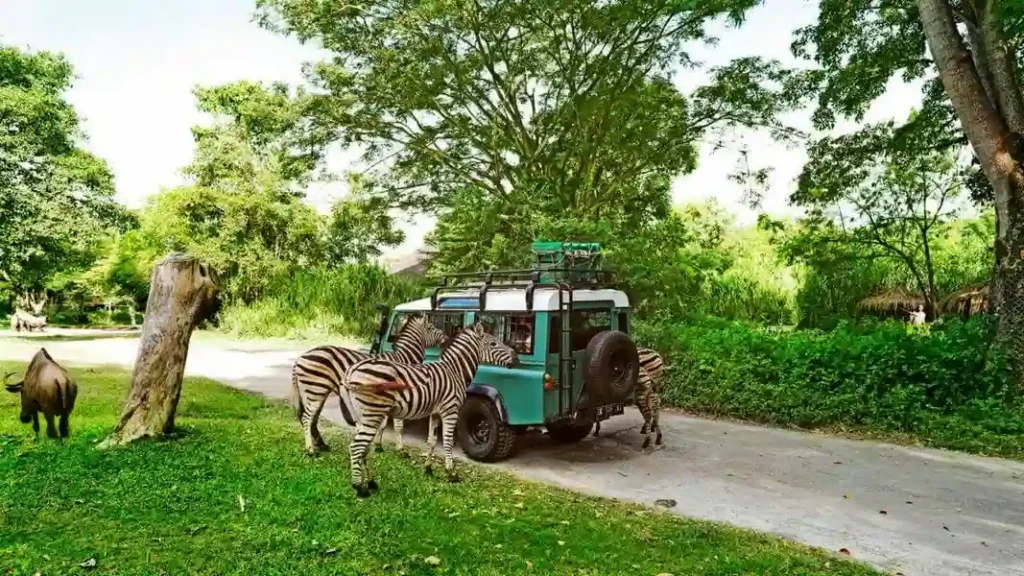 Bali Safari and Marine Park​