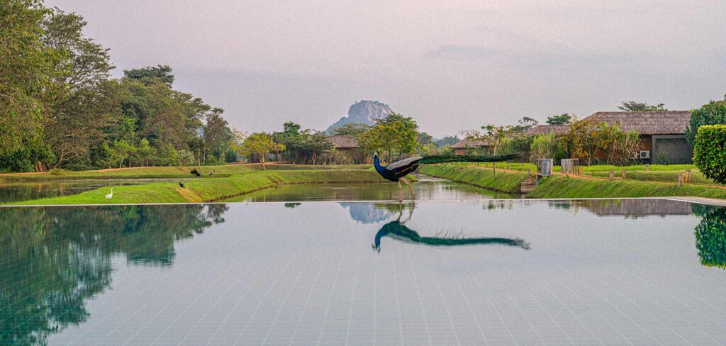 Sigiriya Water Gardens Sri Lanka