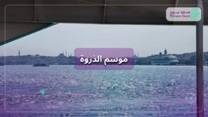 أسباب تدفعك للسفر خارج موسم الذروة من السعودية